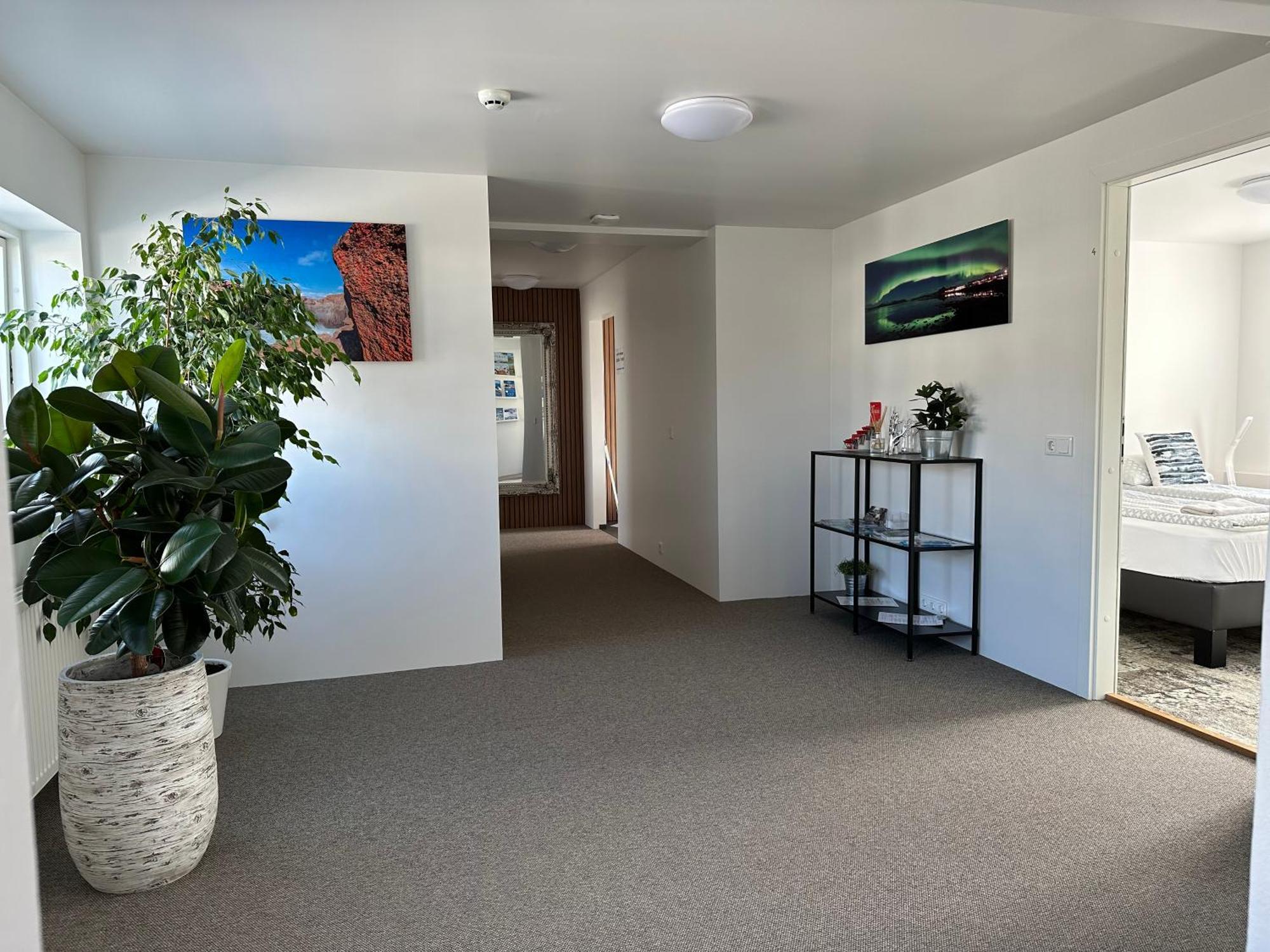 Guesthouse Dyngja Хофн Экстерьер фото